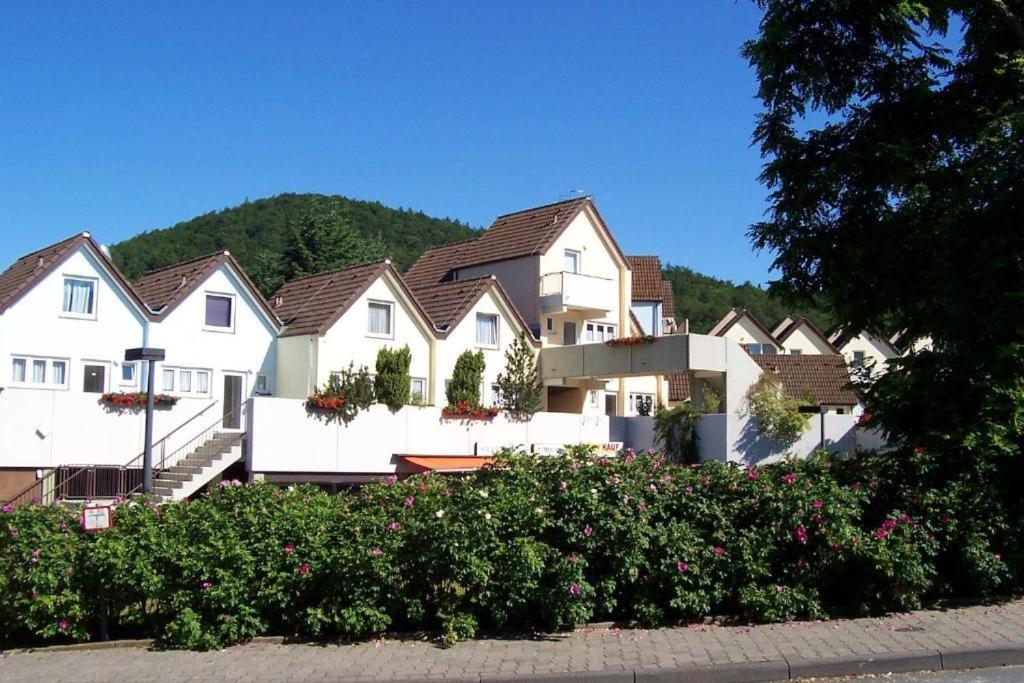 Seglerfewo Mit Traumhaftem Blick Vom Balkon Scheid  Buitenkant foto